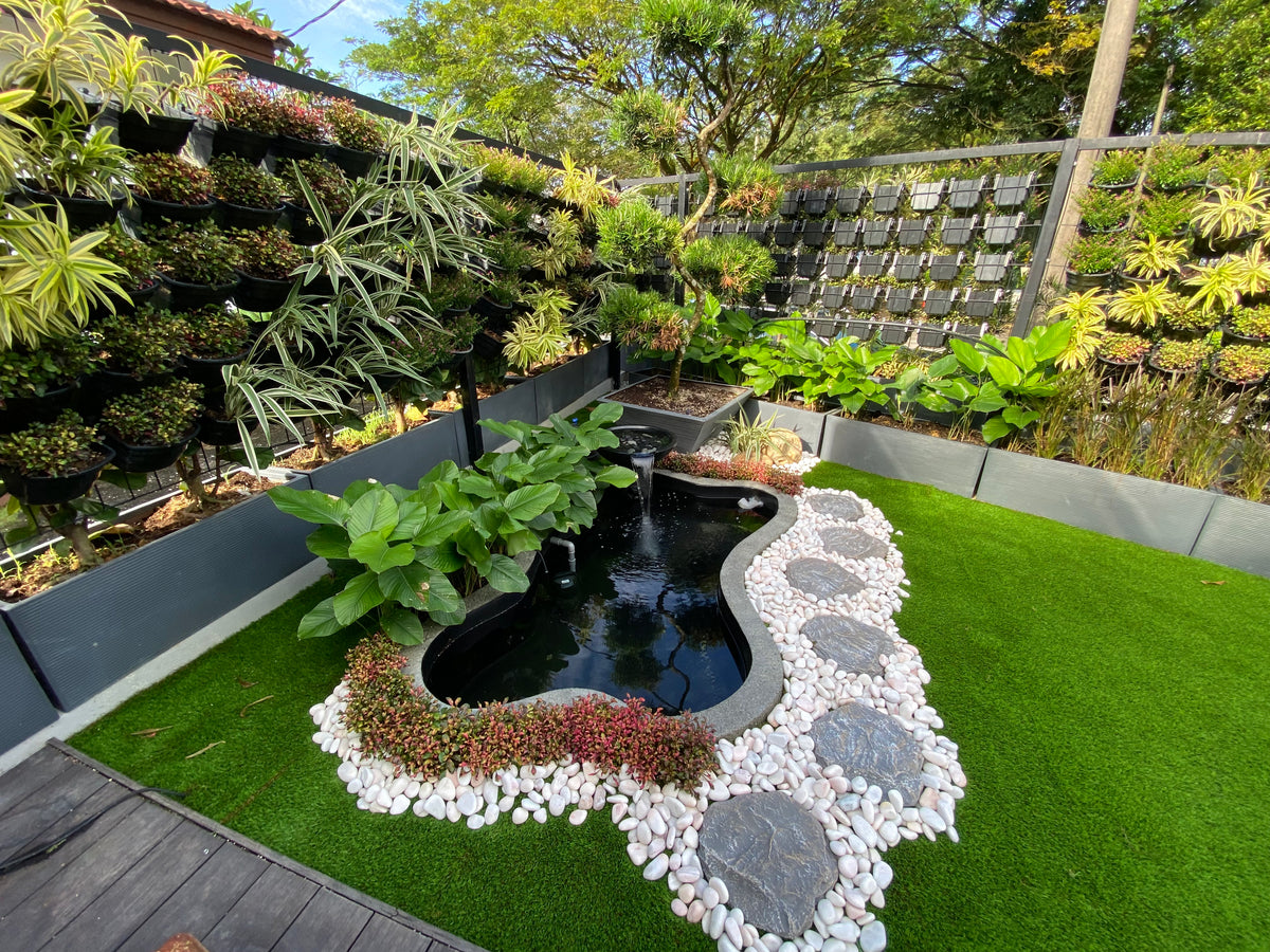 Zen Bio Mini Natural Koi Pond 1 | Konzept Garden