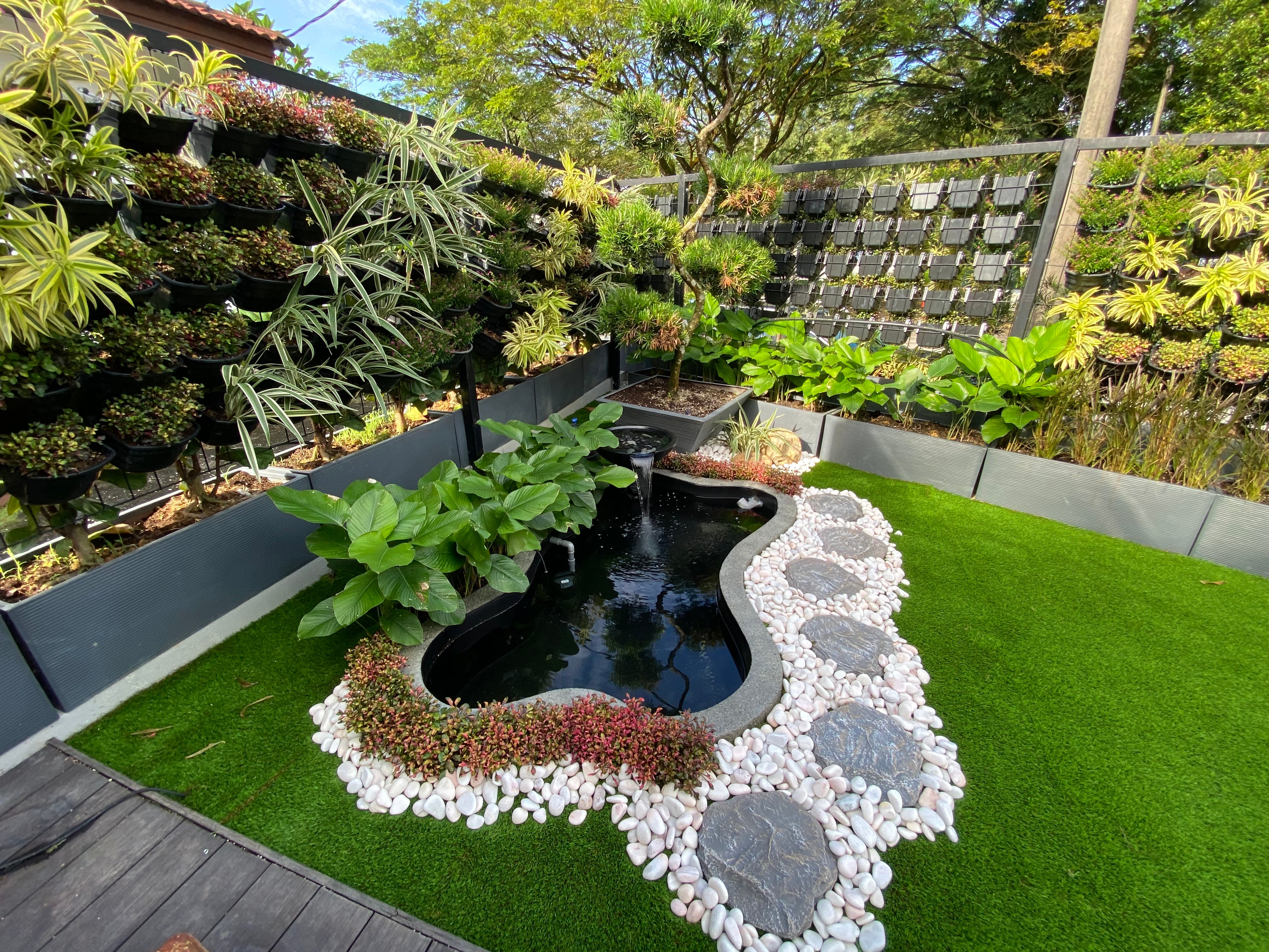 Zen Bio Mini Natural Koi Pond 1