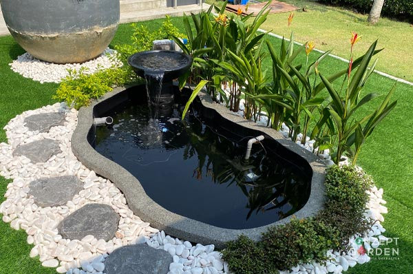 Zen Bio Mini Natural Koi Pond 2