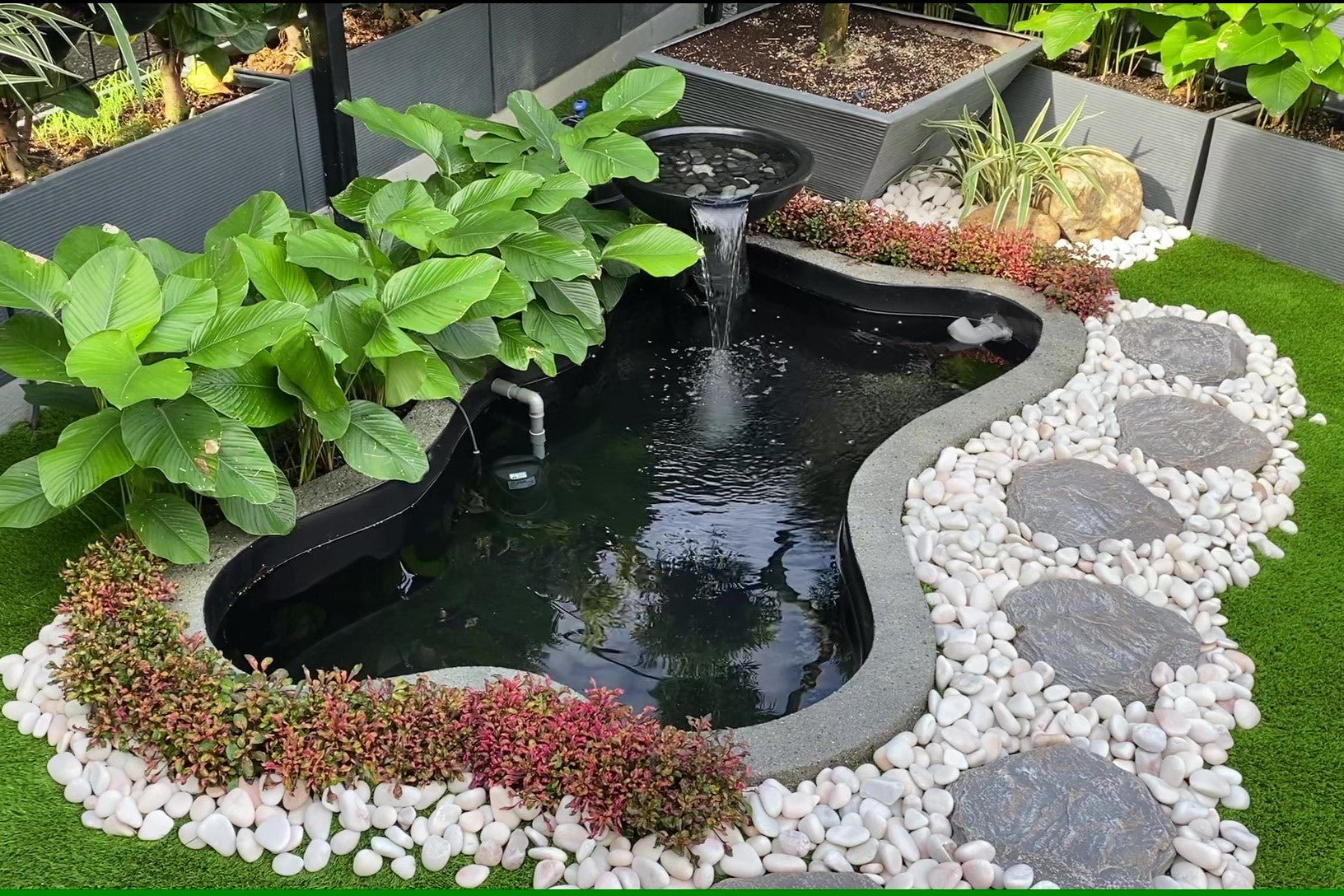 Zen Bio Koi Pond 1