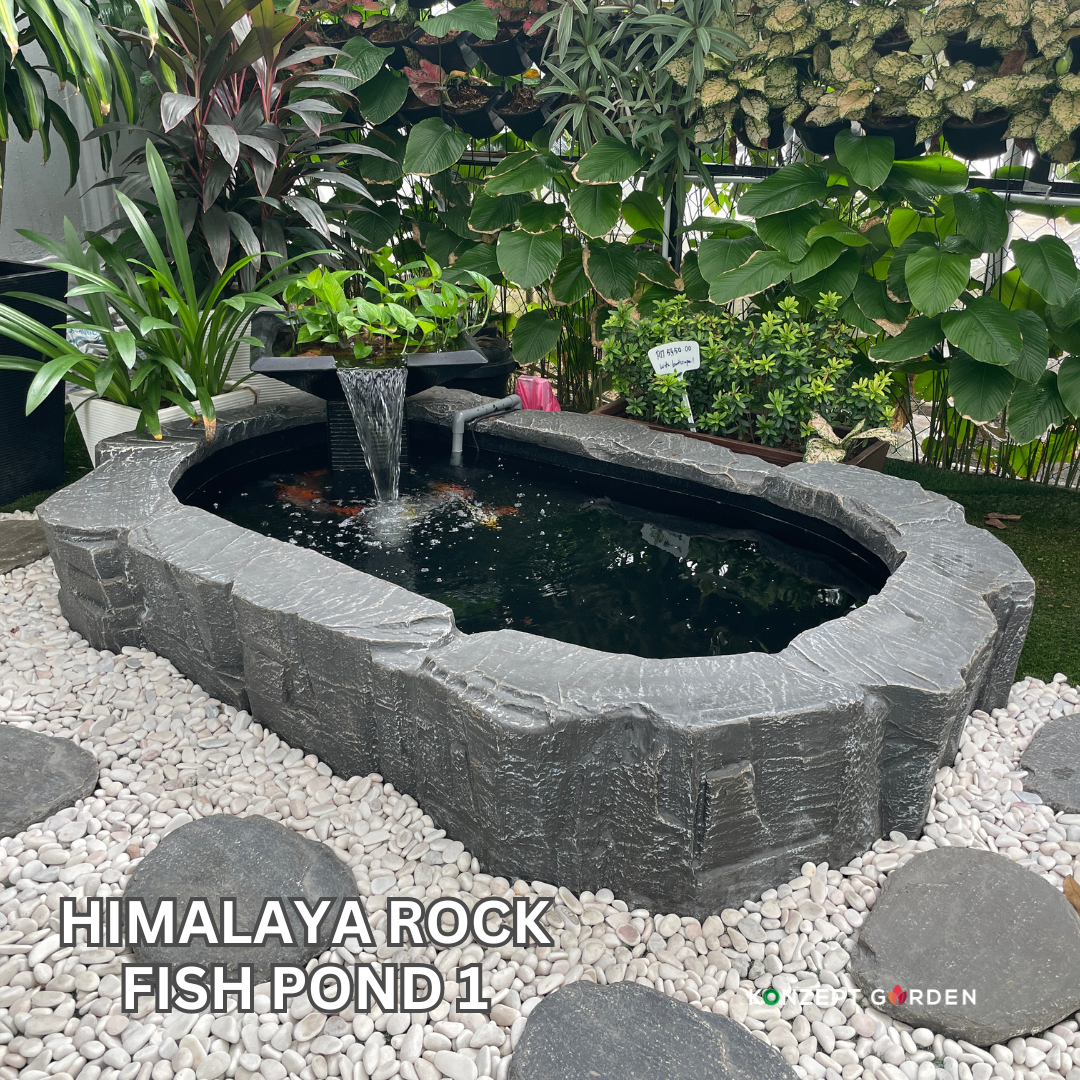 Himalaya Rock Fish Pond 1