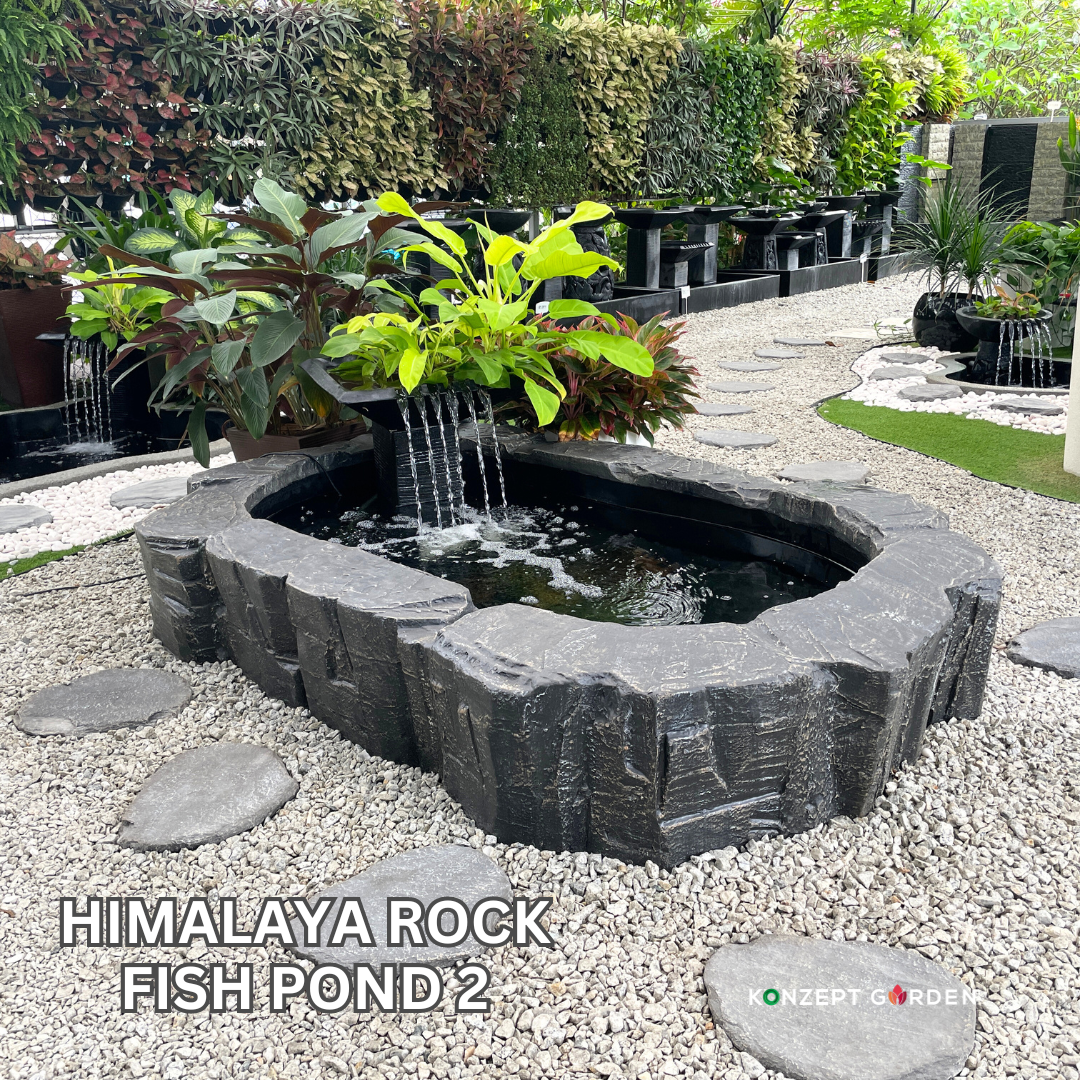 Himalaya Rock Fish Pond 2