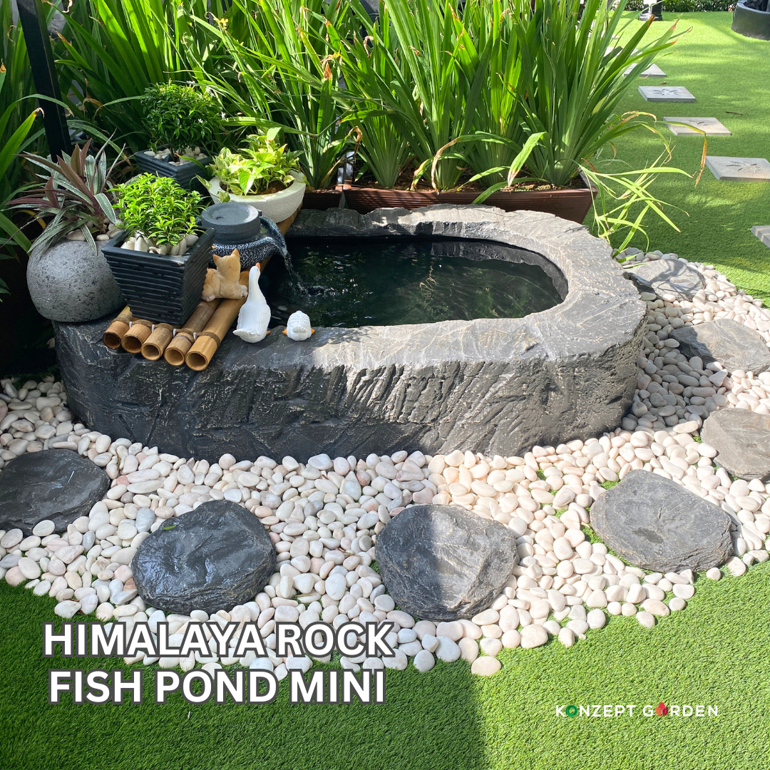 Himalaya Rock Fish Pond Mini