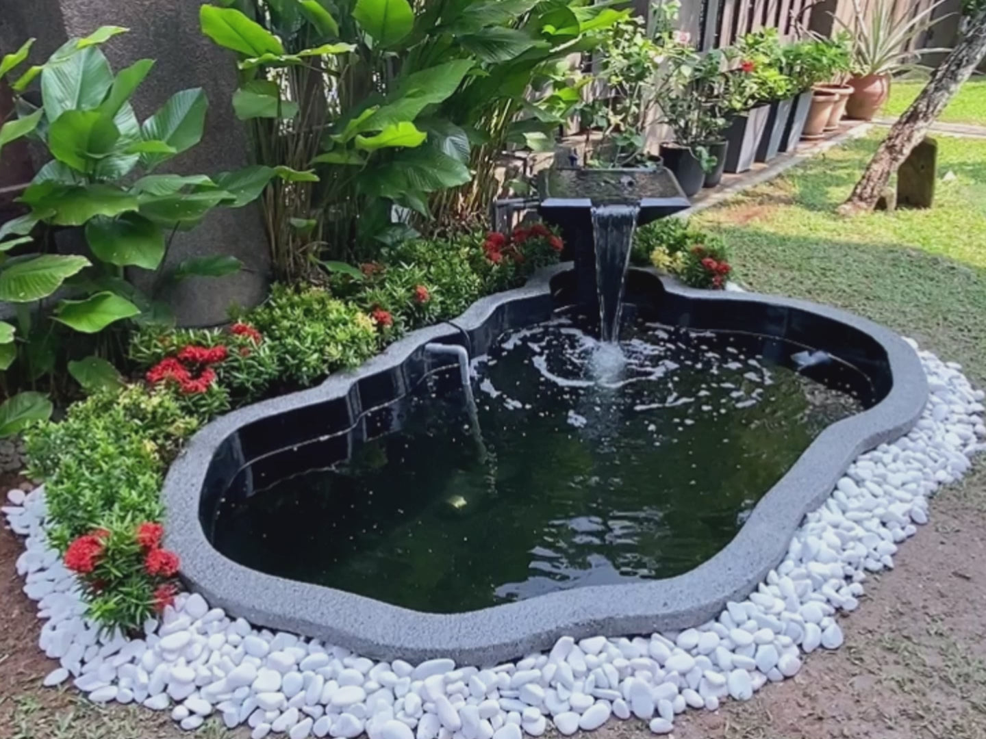 Zen Bio Natural Koi Pond 2.