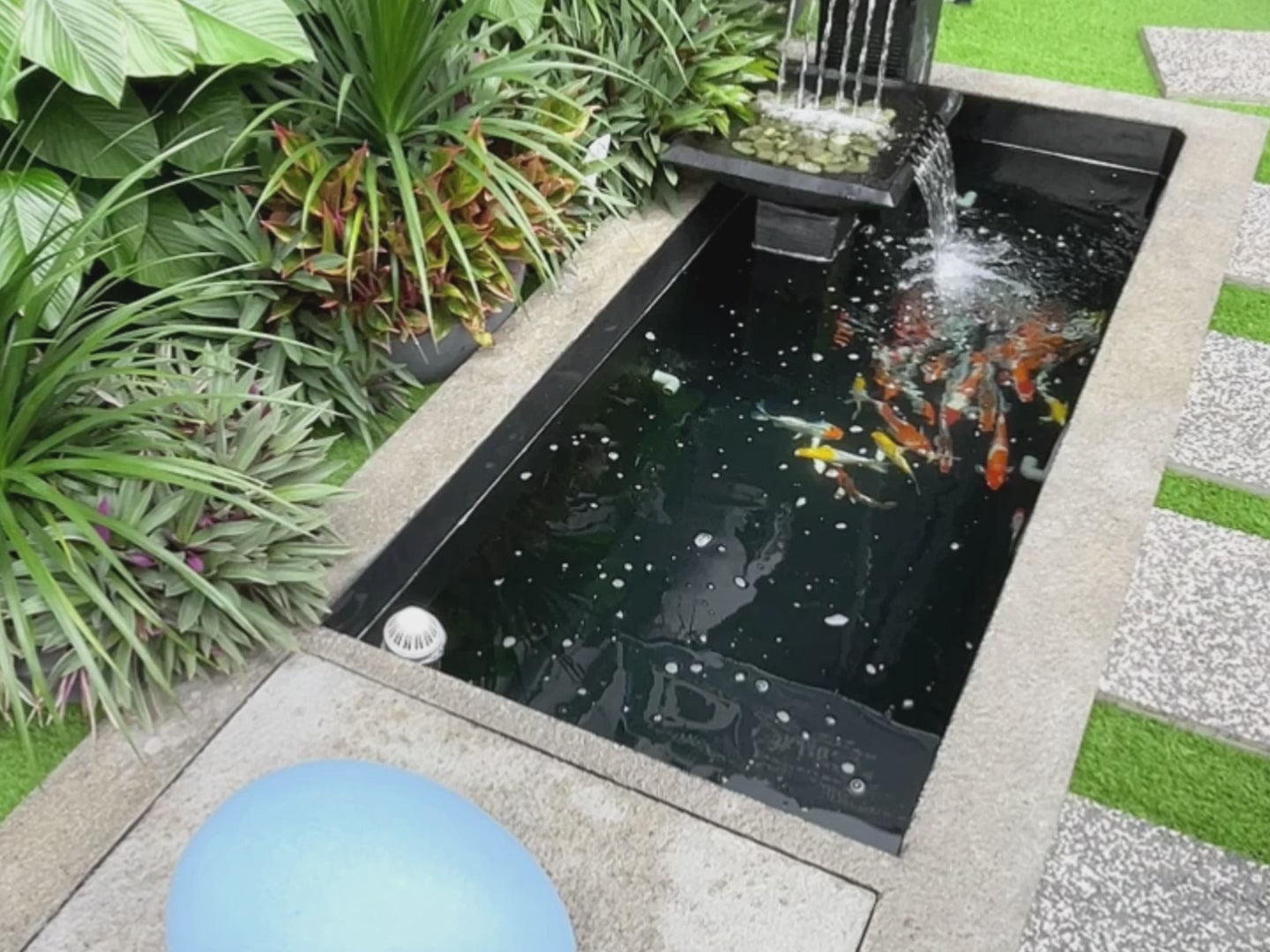 Zen Bio Koi Pond 1.