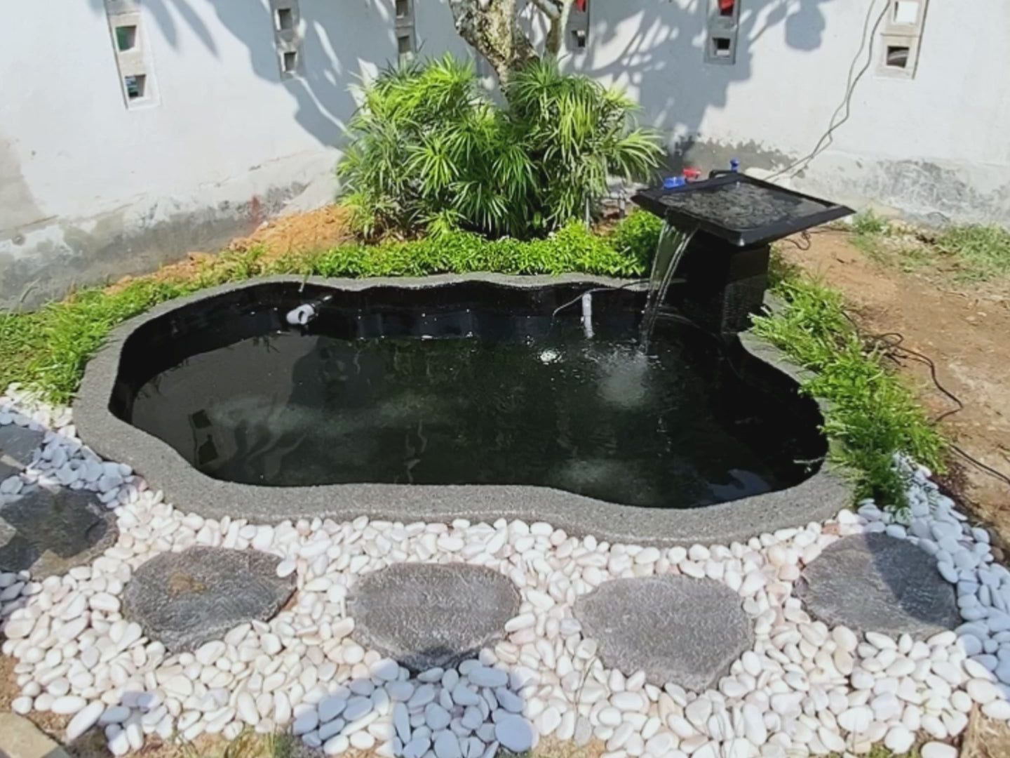 Zen Bio Natural Koi Pond 1.