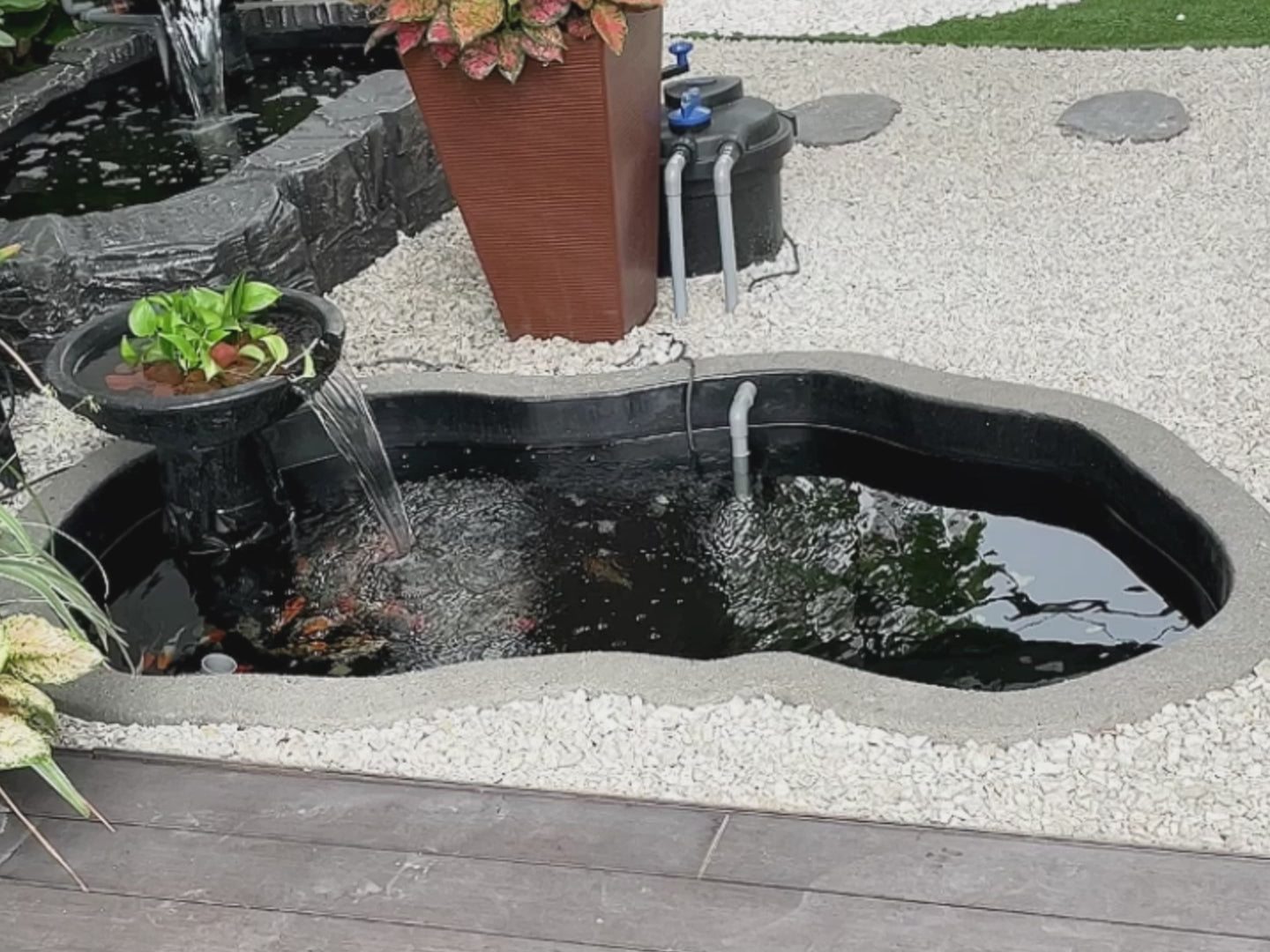 Zen Bio Mini Natural Koi Pond 1 & 2.